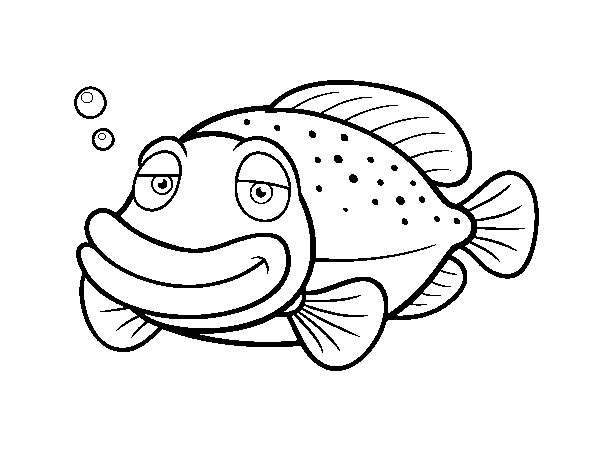 Grouper coloring #9, Download drawings