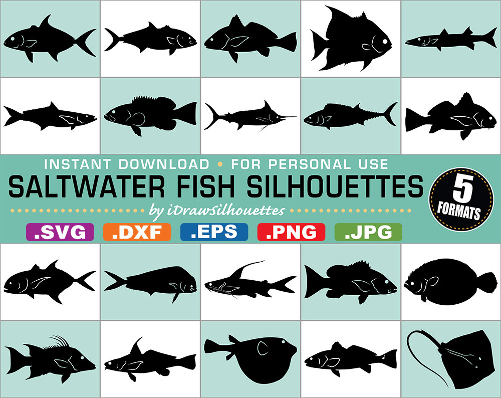 Grouper svg #16, Download drawings