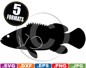 Grouper svg #17, Download drawings