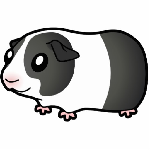 Guinea Pig clipart #19, Download drawings