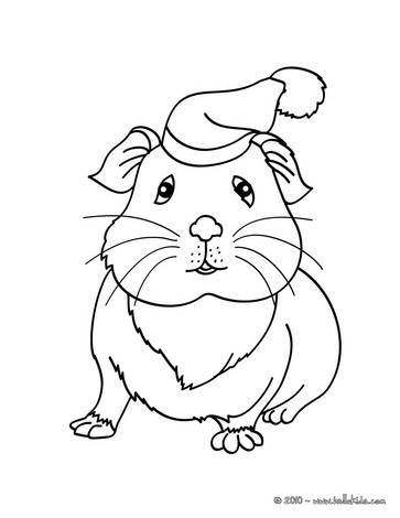 Guinea Pig coloring #11, Download drawings