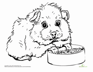 Guinea Pig coloring #17, Download drawings