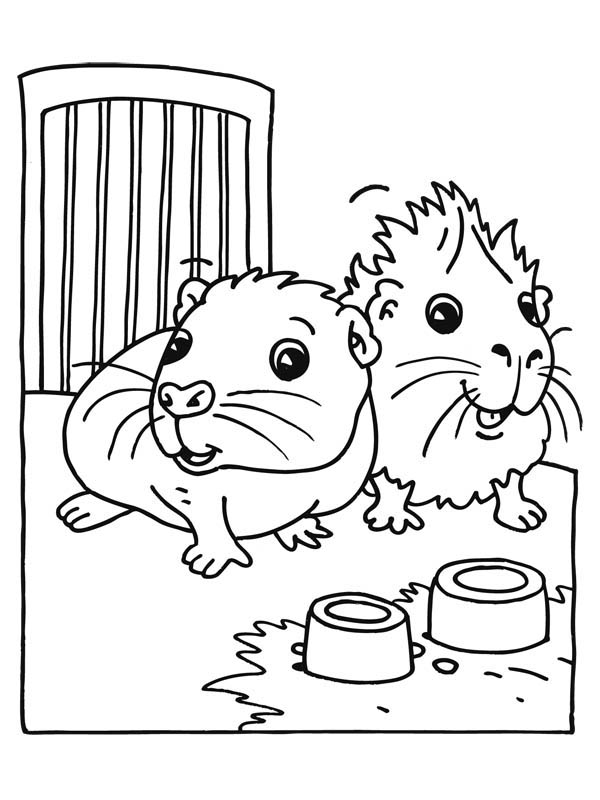 Guinea Pig coloring #4, Download drawings