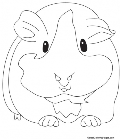 Guinea Pig coloring #15, Download drawings