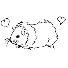 Guinea Pig coloring #12, Download drawings