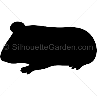 Guinea Pig svg #11, Download drawings