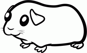 Guinea Pig svg #12, Download drawings