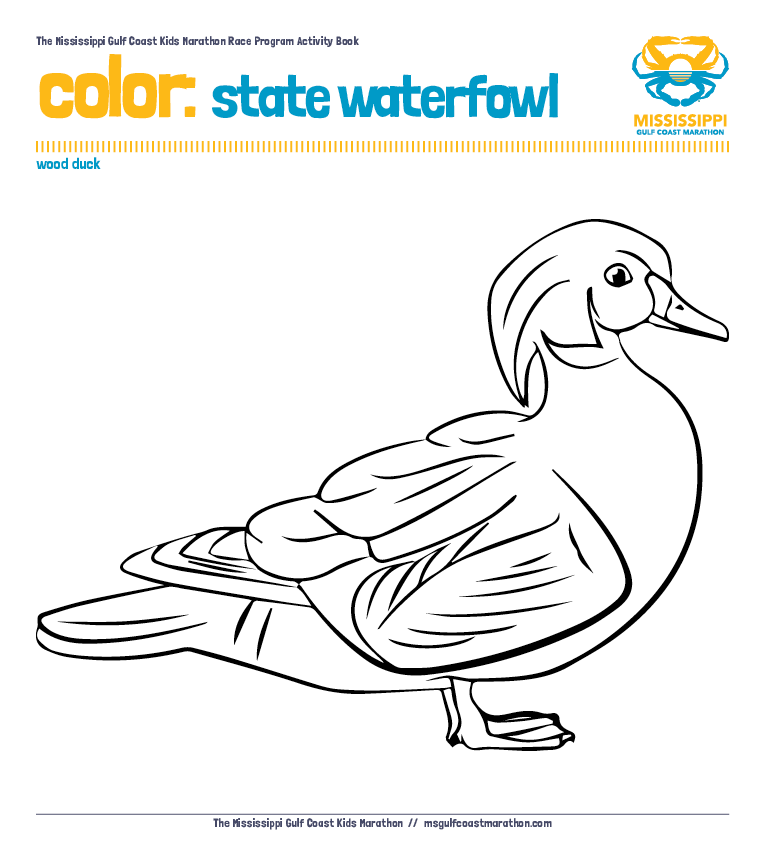 Gulf Coast coloring #15, Download drawings