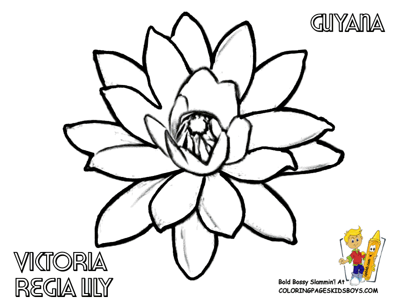 Guyana coloring #13, Download drawings