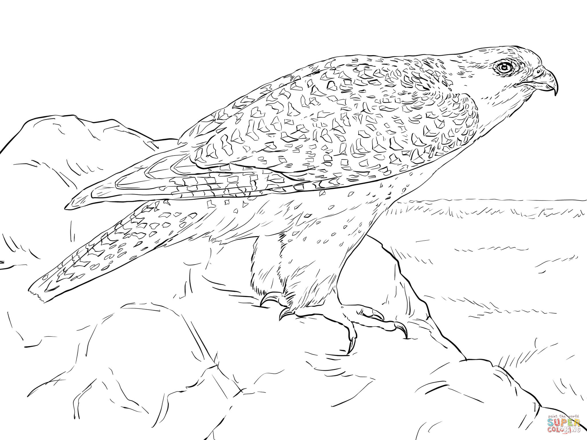 Gyrfalcon coloring #18, Download drawings