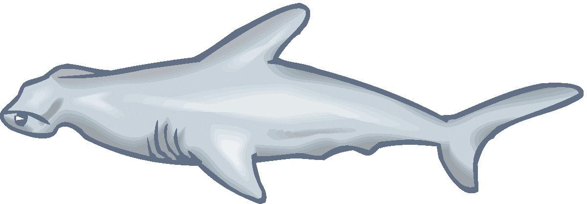 Hammerhead Shark clipart #7, Download drawings