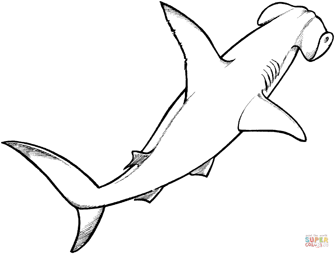 Hammerhead Shark coloring #16, Download drawings