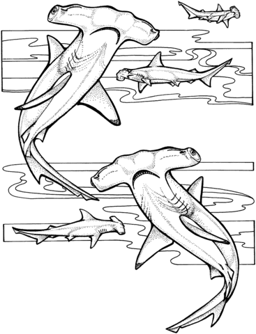 Hammerhead Shark coloring #8, Download drawings