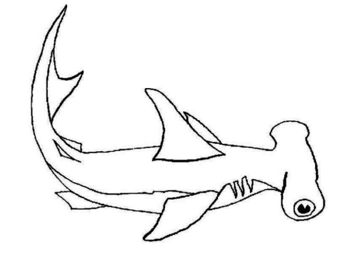 Hammerhead Shark coloring #11, Download drawings