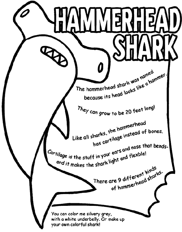 Hammerhead Shark coloring #6, Download drawings