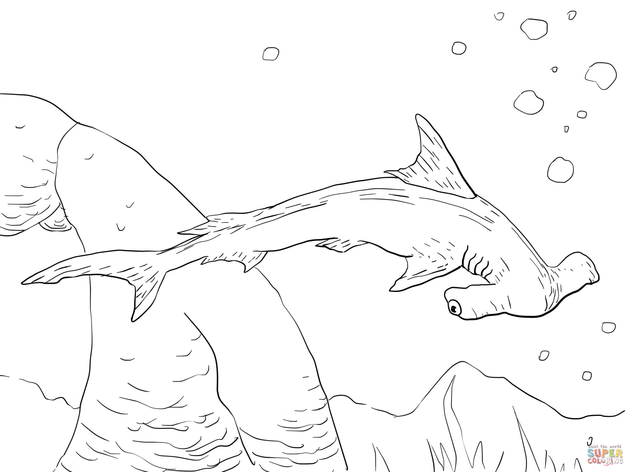 Hammerhead Shark coloring #10, Download drawings