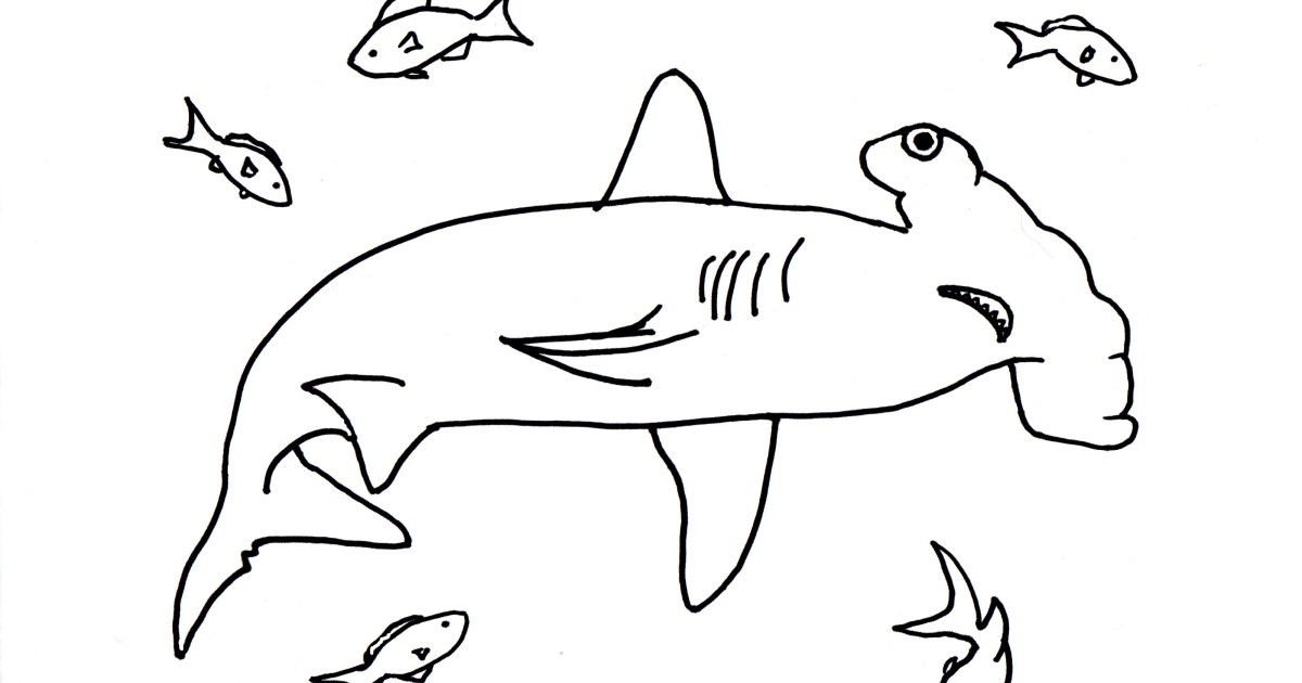 Hammerhead Shark coloring #14, Download drawings