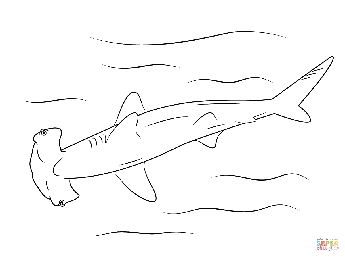 Hammerhead Shark coloring #12, Download drawings
