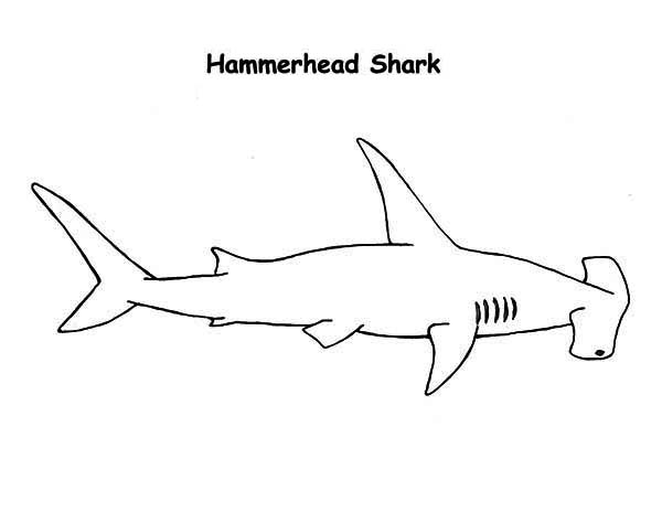 Hammerhead Shark coloring #18, Download drawings