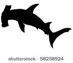 Hammerhead Shark svg #13, Download drawings