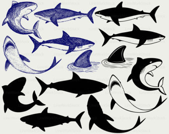 Mako Shark svg #11, Download drawings