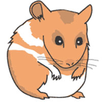 Hamster clipart #16, Download drawings