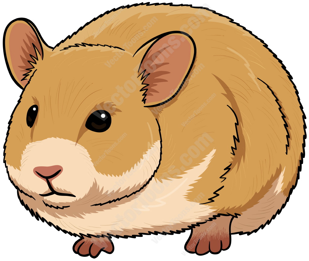 Hamster clipart #8, Download drawings