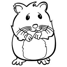 Hamster coloring #20, Download drawings