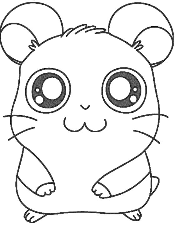 Hamster coloring #14, Download drawings