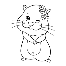 Hamster coloring #4, Download drawings
