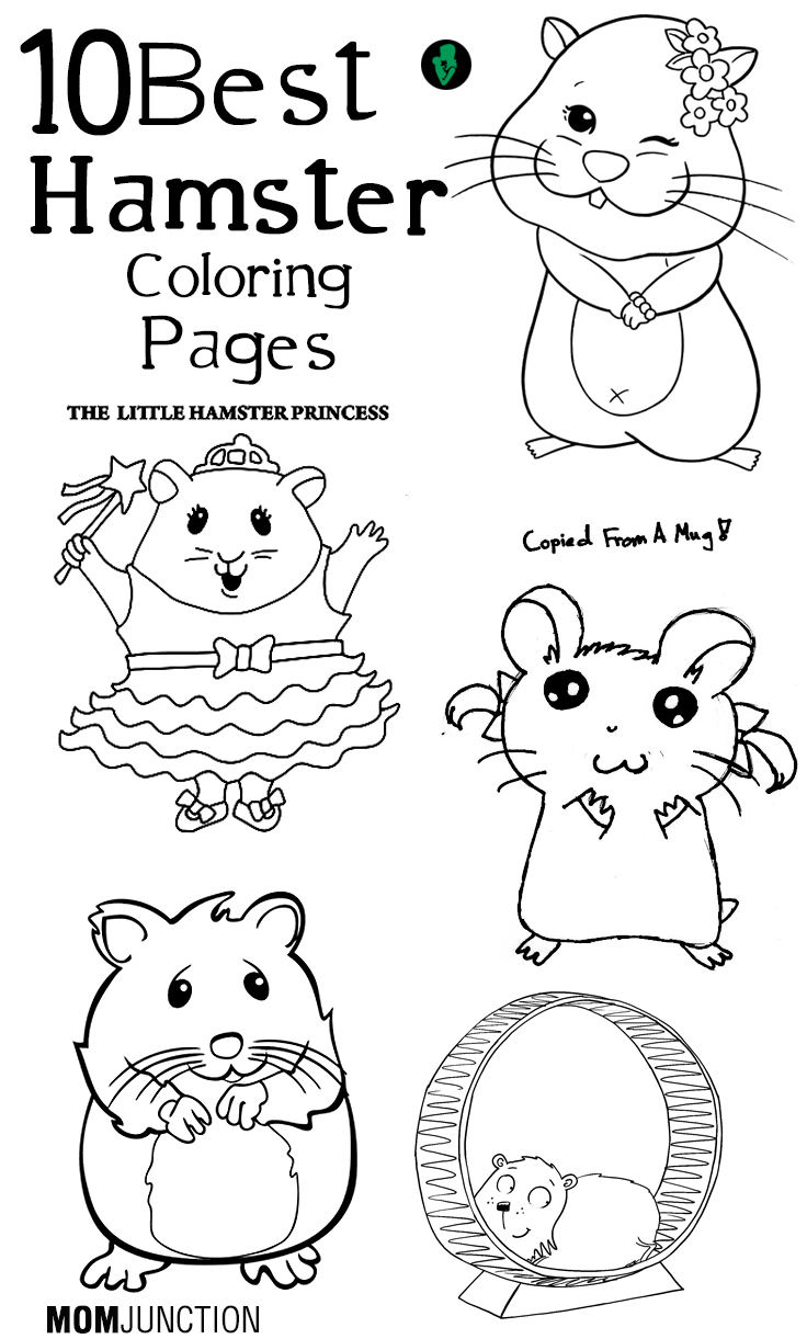 Hamster coloring #10, Download drawings