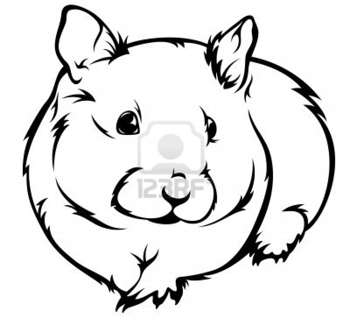 Hamster coloring #11, Download drawings