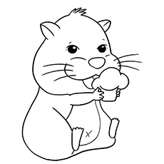 Hamster coloring #13, Download drawings