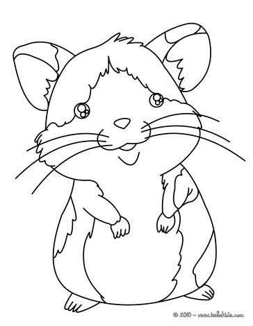 Hamster coloring #15, Download drawings