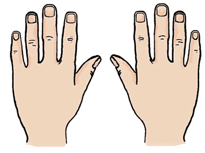 Hands clipart #19, Download drawings