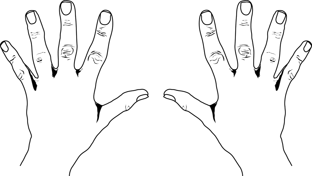 Hands clipart #5, Download drawings