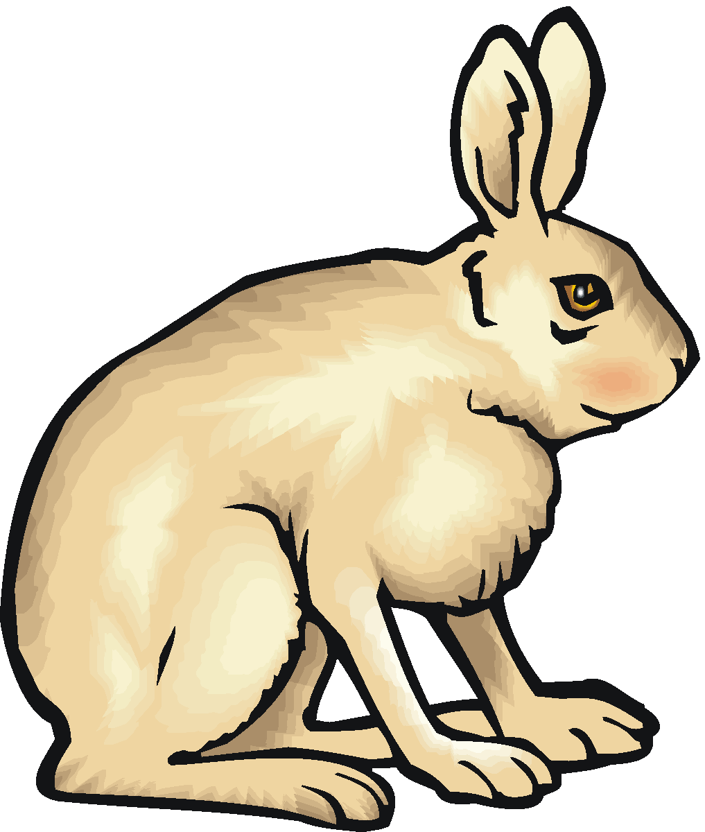 Hare clipart #13, Download drawings