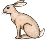 Hare clipart #19, Download drawings