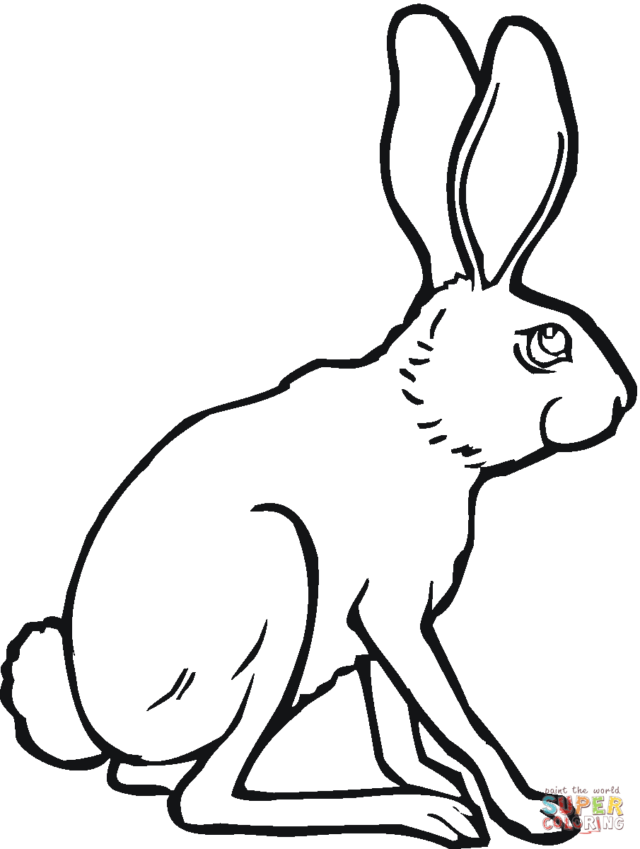 Jack Rabbit coloring #16, Download drawings