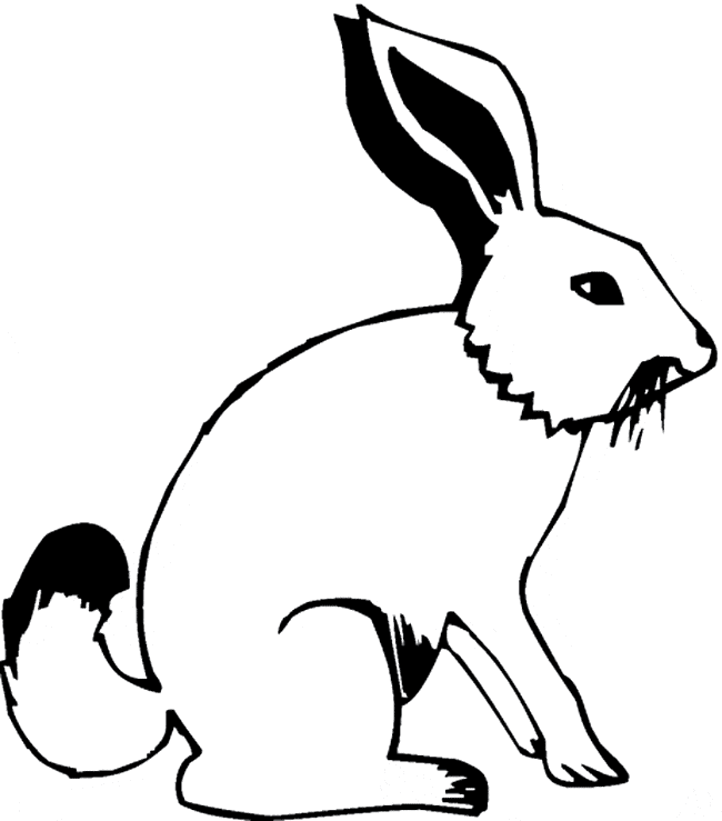 Hare coloring #14, Download drawings