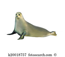 Harp Seal clipart #8, Download drawings