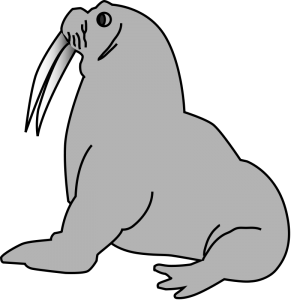 Harp Seal clipart #10, Download drawings