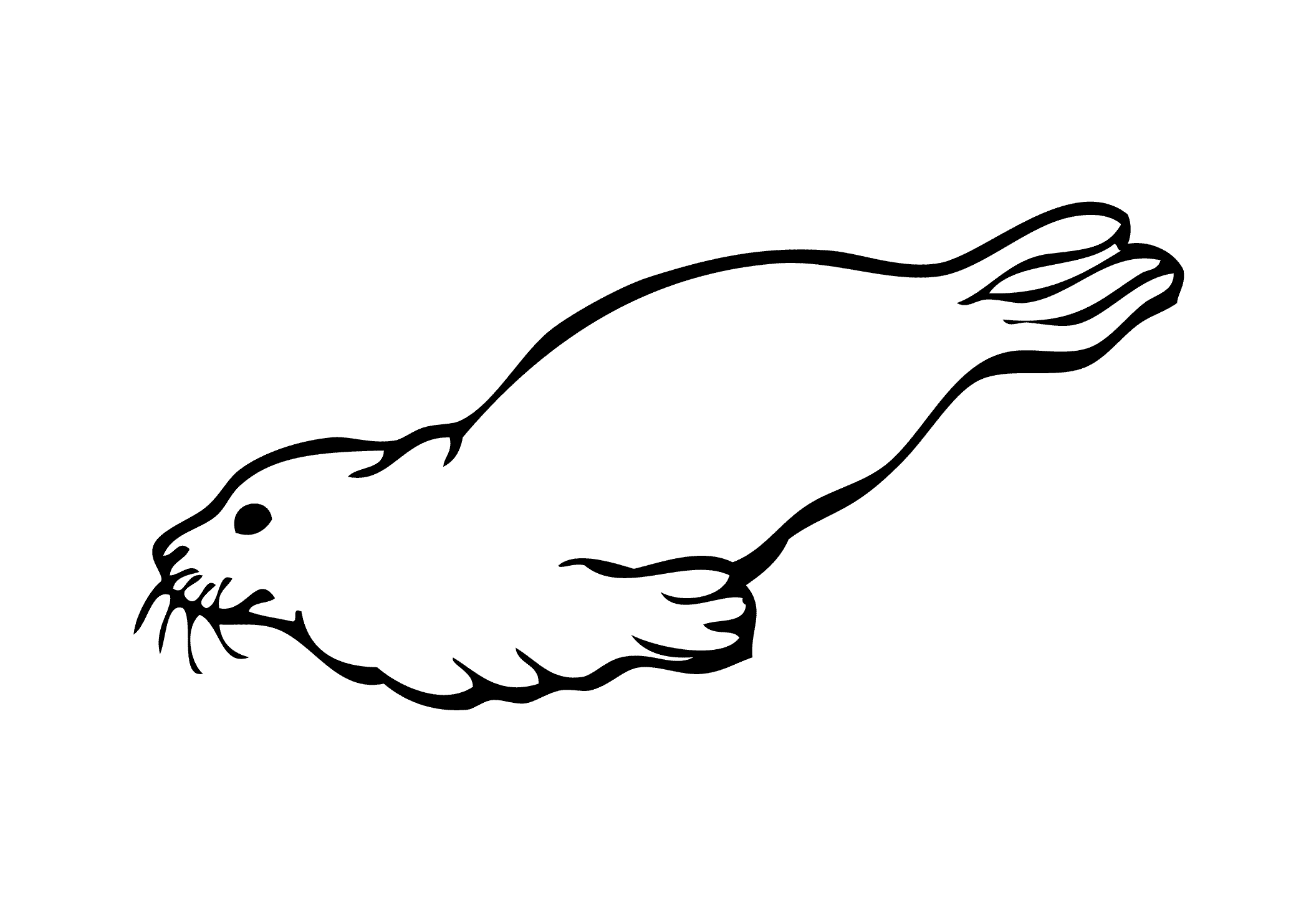 Harp Seal coloring #12, Download drawings