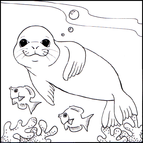 Harp Seal coloring #4, Download drawings