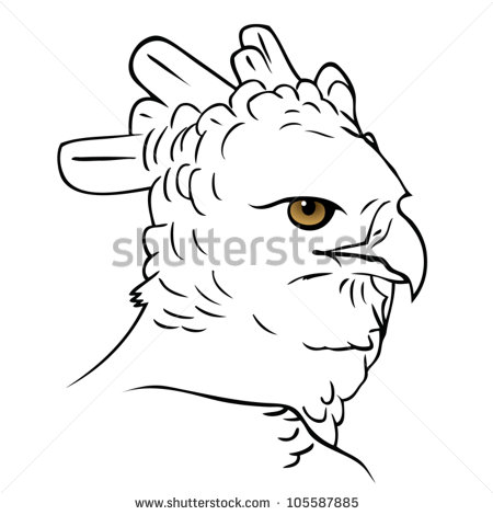 Harpy Eagle clipart #12, Download drawings