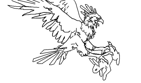 Harpy Eagle coloring #4, Download drawings