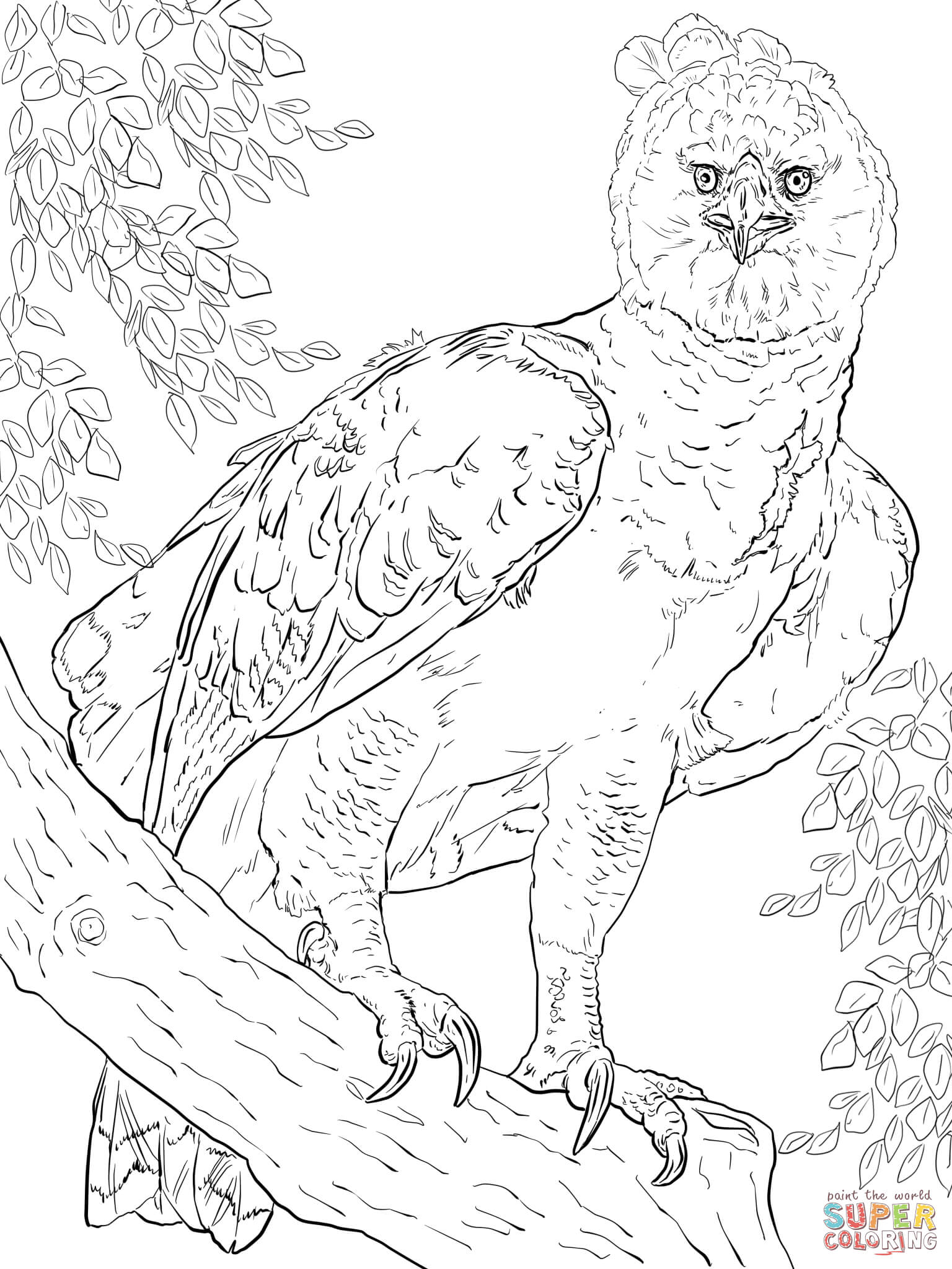 Phillipine Eagle coloring #1, Download drawings