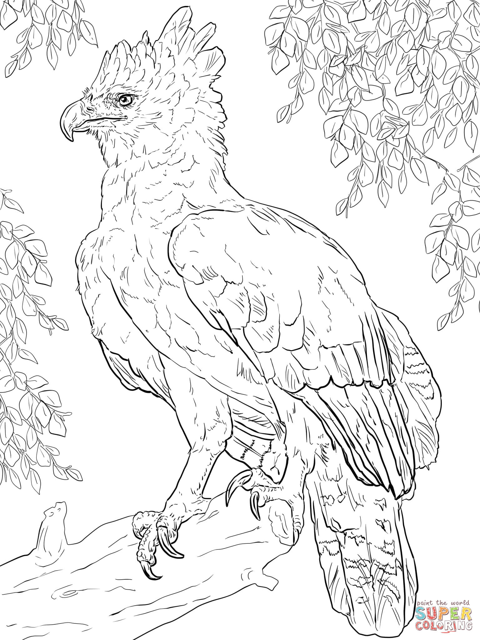 Harpy Eagle coloring #9, Download drawings