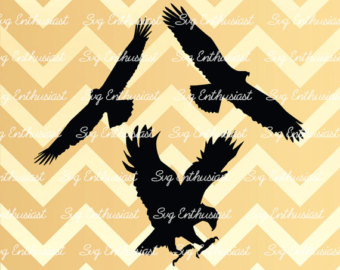 Harpy Eagle svg #14, Download drawings