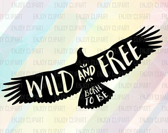 Harpy Eagle svg #12, Download drawings